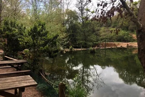 Ballıkayalar Tabiat Parkı - Resim 8