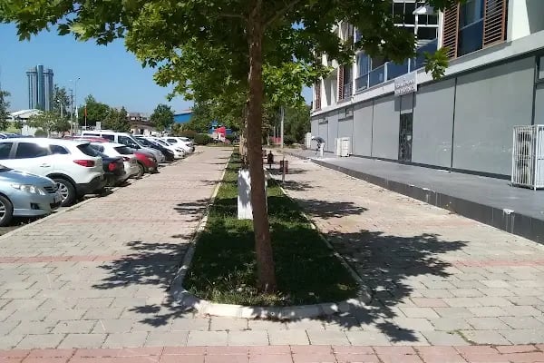 T.C. Bayraklı Kaymakamlığı Nüfus Müdürlüğü - Resim 7