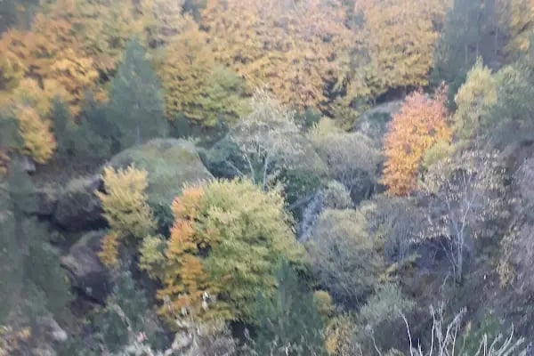 Kandere Çocuk Parkı - Resim 4