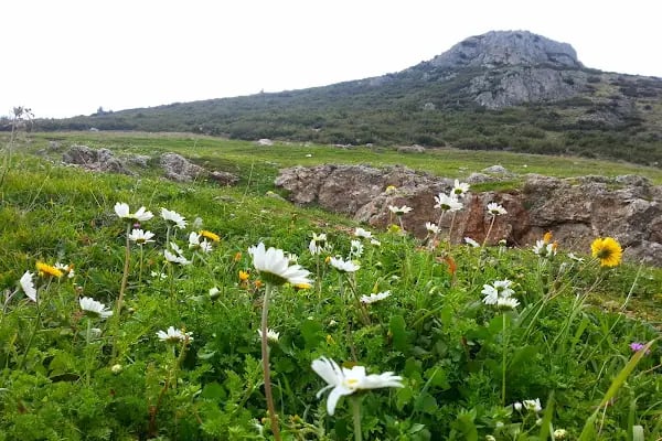 Kandere Çocuk Parkı - Resim 20