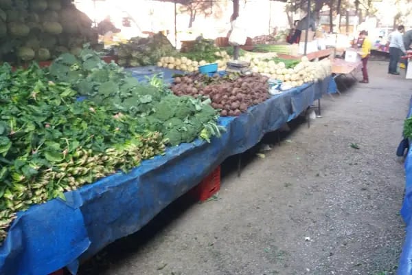 Kandere Çocuk Parkı - Resim 16