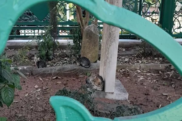 Abdurrahman Gazi Türbe Anıtı - Resim 16