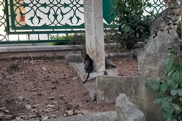 Abdurrahman Gazi Türbe Anıtı - Resim 15