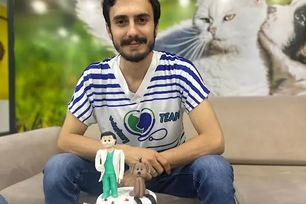 City Vet Veteriner Kliniği - Resim 16