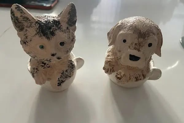 City Vet Veteriner Kliniği - Resim 12