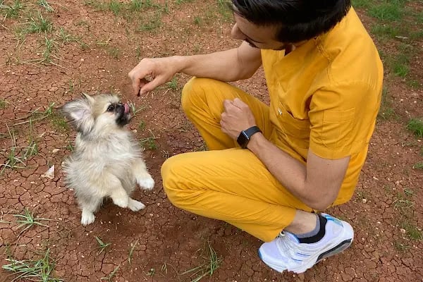 City Vet Veteriner Kliniği - Resim 19