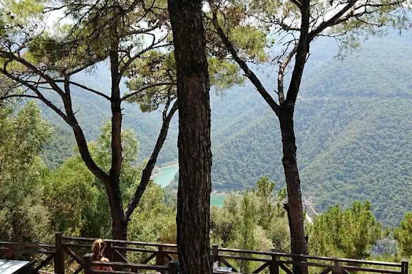 İzmir Ticaret Odası Hatıra Ormanı - Resim 1