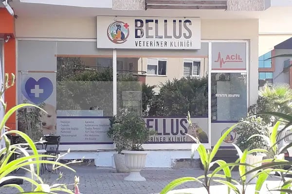 Bellus veteriner kliniği - Resim 15