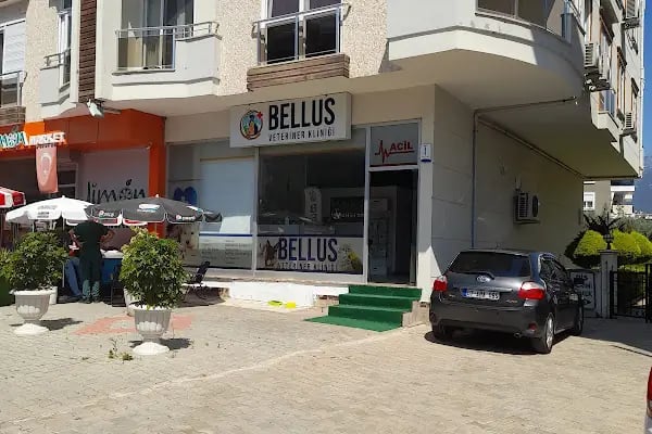 Bellus veteriner kliniği - Resim 7