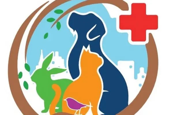 Bellus veteriner kliniği - Resim 12