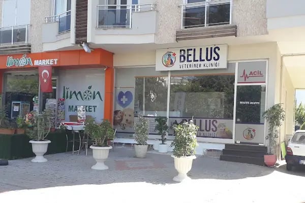 Bellus veteriner kliniği - Resim 16