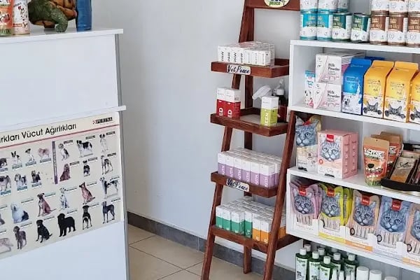 Bellus veteriner kliniği - Resim 14