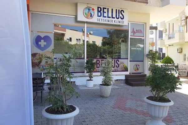 Bellus veteriner kliniği - Resim 2