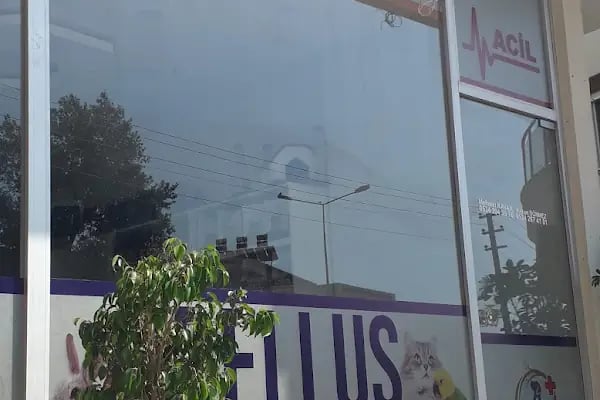Bellus veteriner kliniği - Resim 11