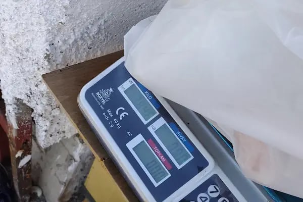 gürs kardeş kanatli hayvan çifliği - Resim 12