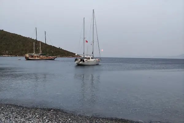 Kissebükü Koyu - Resim 11
