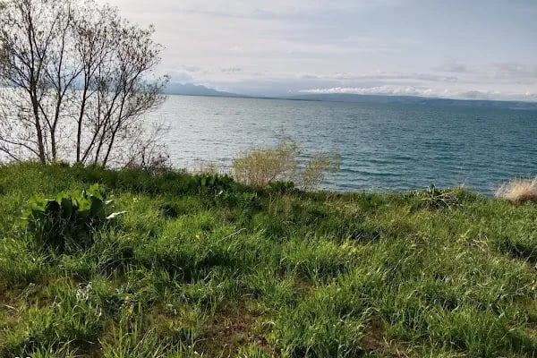 ÇEMREK ÜZÜM BAĞI - Resim 13