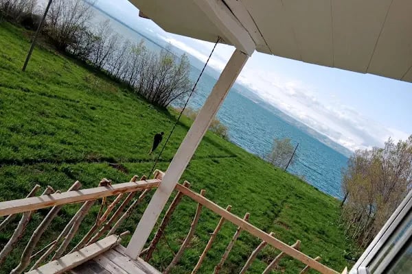 ÇEMREK ÜZÜM BAĞI - Resim 7