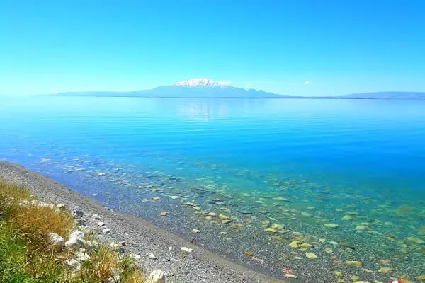 ÇEMREK ÜZÜM BAĞI - Resim 10