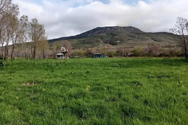 ÇEMREK ÜZÜM BAĞI - Resim 14
