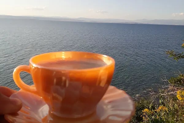 ÇEMREK ÜZÜM BAĞI - Resim 18