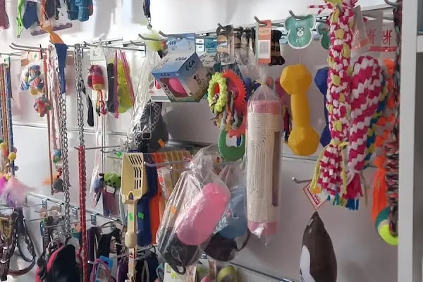 Ankara Mamak Petshop – Azim Petshop - Resim 11