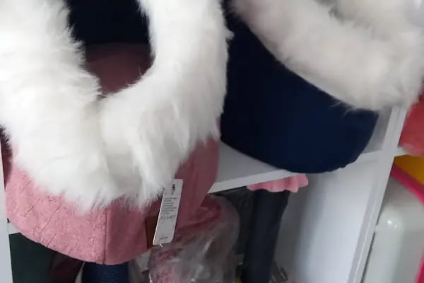 Ankara Mamak Petshop – Azim Petshop - Resim 16