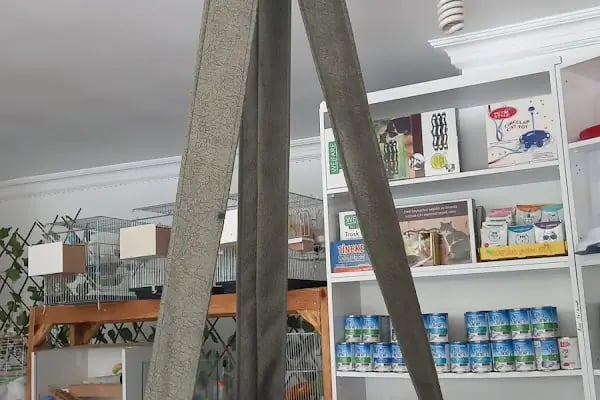 Ankara Mamak Petshop – Azim Petshop - Resim 12