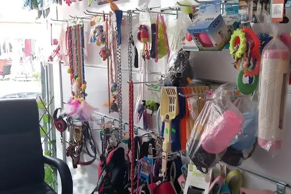Ankara Mamak Petshop – Azim Petshop - Resim 19
