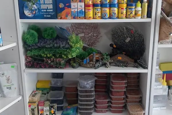Ankara Mamak Petshop – Azim Petshop - Resim 18