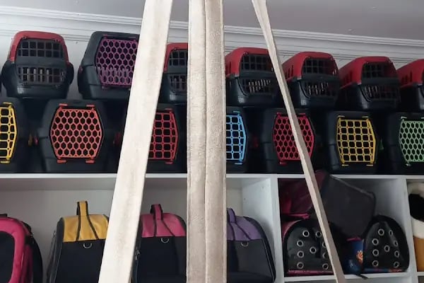 Ankara Mamak Petshop – Azim Petshop - Resim 10