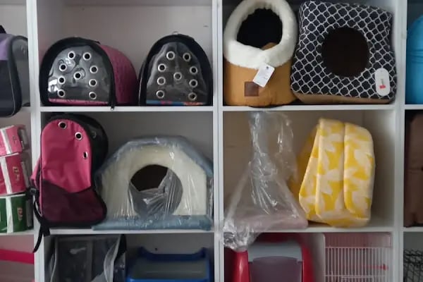 Ankara Mamak Petshop – Azim Petshop - Resim 6