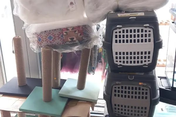 Ankara Mamak Petshop – Azim Petshop - Resim 8