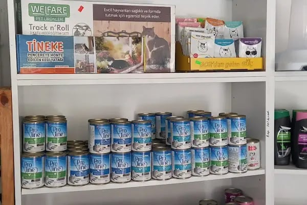 Ankara Mamak Petshop – Azim Petshop - Resim 13