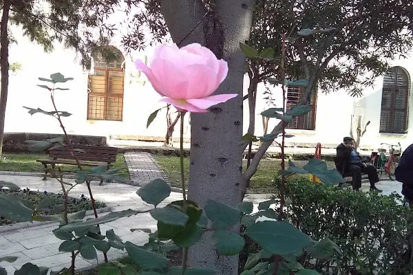 Abdülkadir Ağa Cami - Resim 10