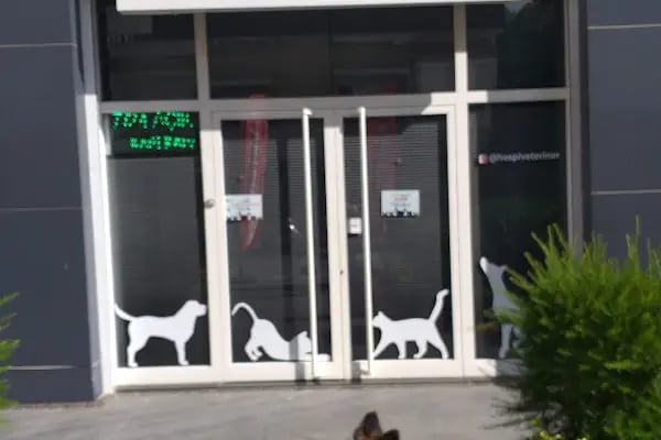 HospiVet Veteriner Kliniği - Resim 6