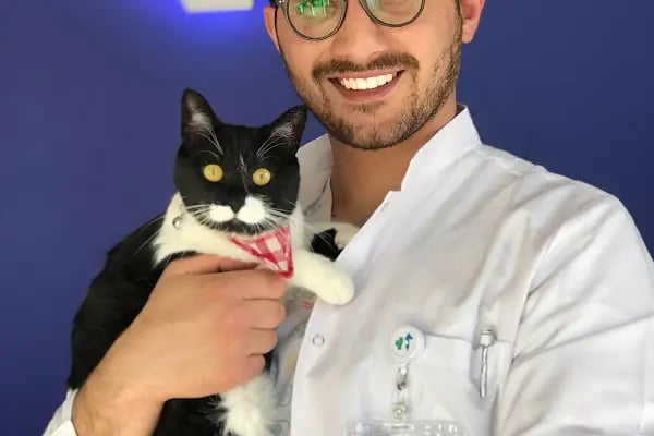 HospiVet Veteriner Kliniği - Resim 17
