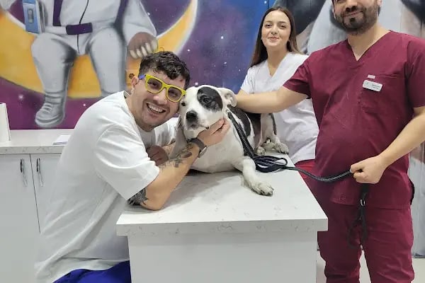 HospiVet Veteriner Kliniği - Resim 14