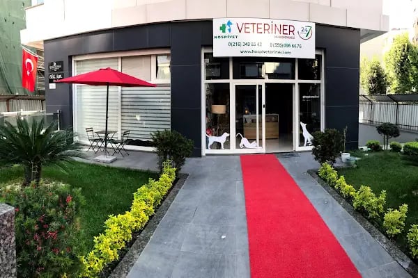 HospiVet Veteriner Kliniği - Resim 2