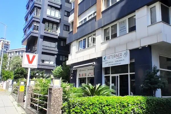 HospiVet Veteriner Kliniği - Resim 10