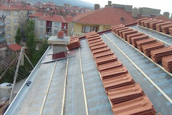 Çatıcı Filiz - Resim 2