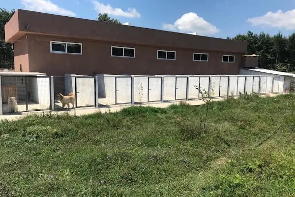 Doğa Köpek Üretim Çiftliği - Resim 3