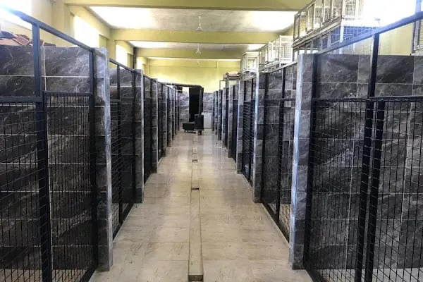 Doğa Köpek Üretim Çiftliği - Resim 7