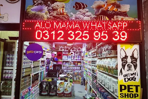 Tropikal Pet Shop ALO MAMA HATTI. - Resim 17