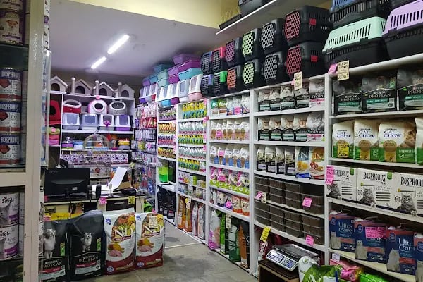 Tropikal Pet Shop ALO MAMA HATTI. - Resim 10
