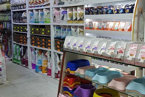 Tropikal Pet Shop ALO MAMA HATTI. - Resim 13