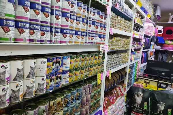 Tropikal Pet Shop ALO MAMA HATTI. - Resim 6