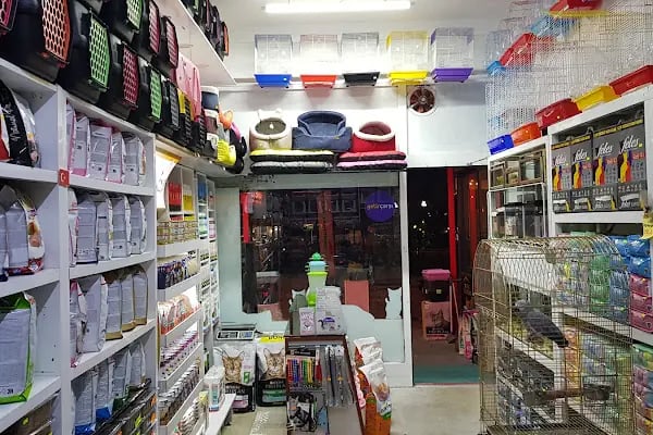 Tropikal Pet Shop ALO MAMA HATTI. - Resim 4