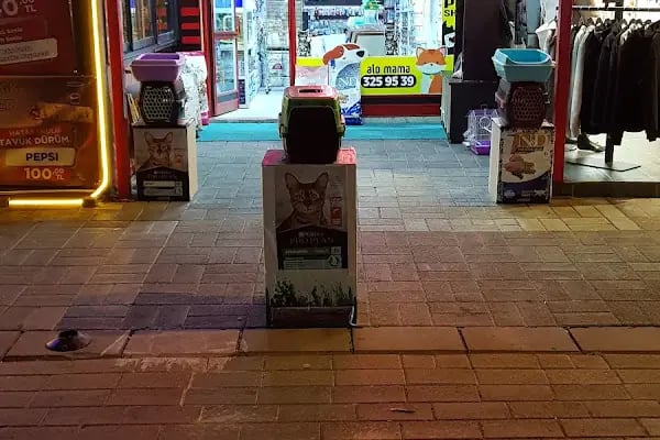 Tropikal Pet Shop ALO MAMA HATTI. - Resim 9