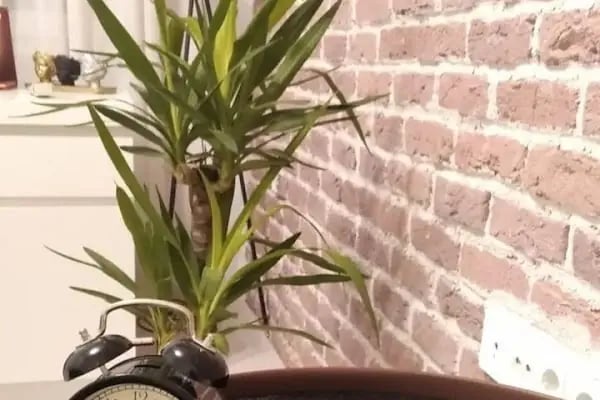 Şişli Psikolog-Şişli Klinik Psikolog Elif Aydın - Resim 10
